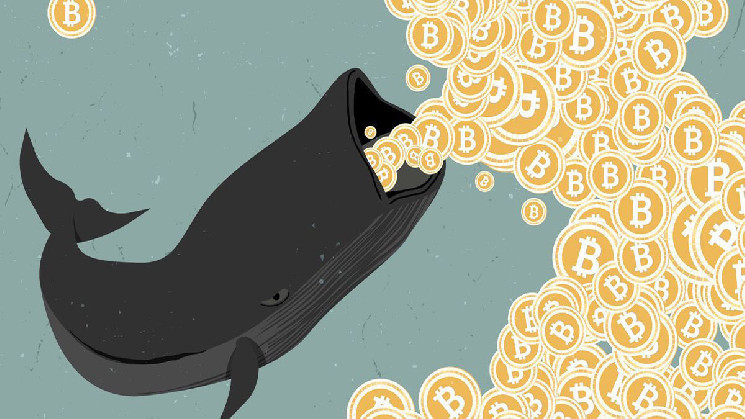 Нажористый биткоин-кит отметил 13-летнюю годовщину криптовалюты покупкой 456 BTC