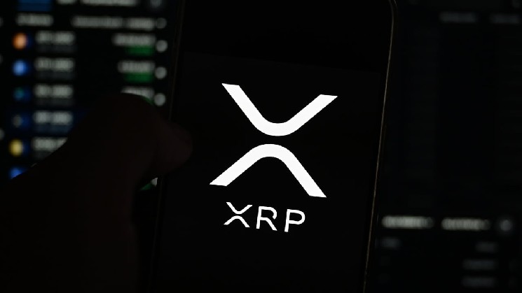 Ripple'dan Schwartz, 100 Kat XRP Ücret Artışı Önerilirken Ücret Metriğini Sert Eleştirdi