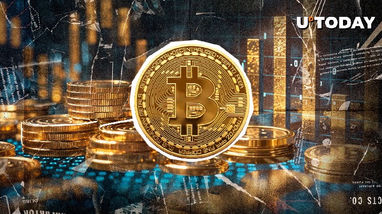 «Мы любим это видеть»: Top Trader выпускает большие обновления цены биткойнов