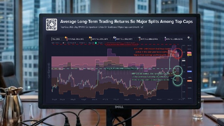 XRP Average Long-Term Trader Still Down 11.75% After Rebound