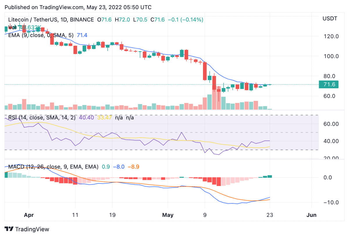 Litecoin price analysis: LTC aims to consolidate and recover up to the ...