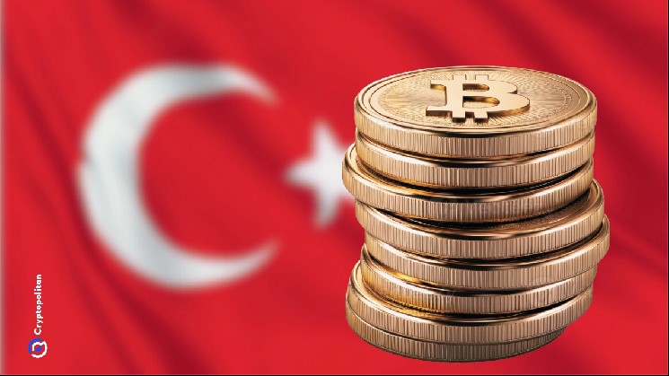 Turkish lawmakers withdraw crypto tax provisions from omnibus bill