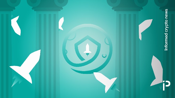 Защиты генерального директора Safemoon Заговор между руководителями не было заговора