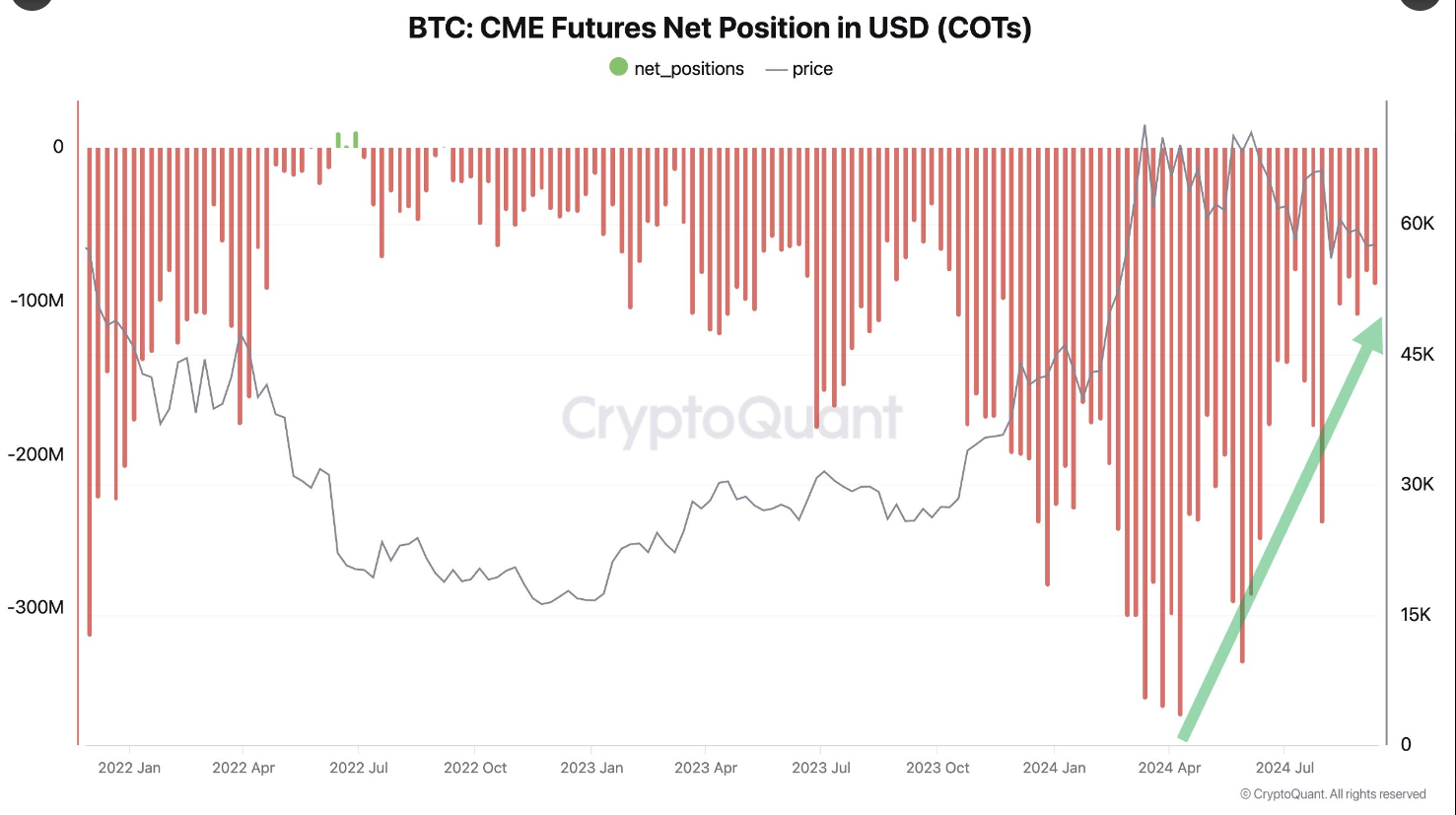 Bitcoin CME Futures Net Position chart 